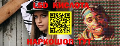 индика Кандалакша