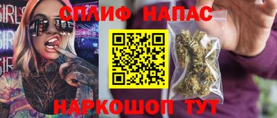 индика Кандалакша