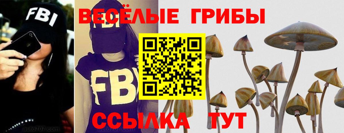МЕФ Чусовой
